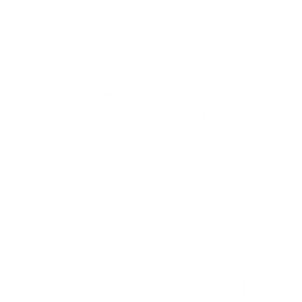 Aletsu — Transporte Privado & Turístico
